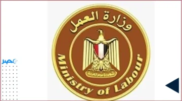 فرص توظيف.. وزارة العمل تطلق عروض توظيف مباشرة للشباب في أبو رواش